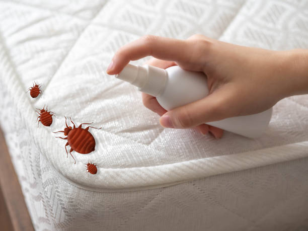 Best Pest Control for Multi-Family Homes  in Elmo, TX